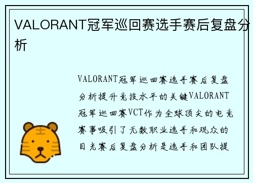 VALORANT冠军巡回赛选手赛后复盘分析