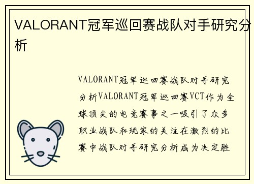 VALORANT冠军巡回赛战队对手研究分析